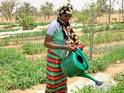Aissata, 22, waters the vegetables in the community garden